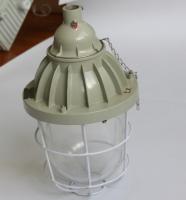 Abat-jour IP55 220VAC, 50-60Hz facultatif antidéflagrant de lampes anti-déflagrantes d'ATEX
