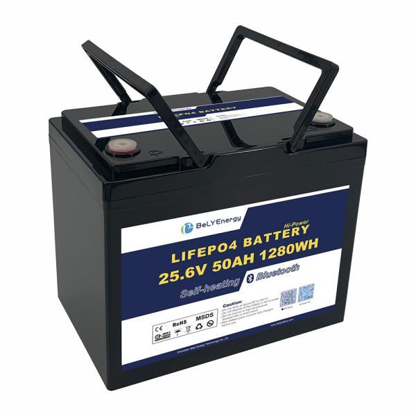 24V 50AH LiFePO4 Marine Boat Lithium Battery With BT and heating