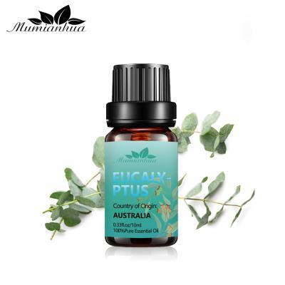 Óleo essencial do eucalipto puro do USDA 100% da aromaterapia do óleo de eucalipto do OEM