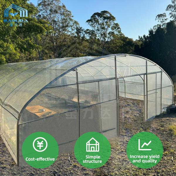 Greenhouse 200 micro PE Film Growing House Ventilated Serre Agricole Polytunnel Greenhouse