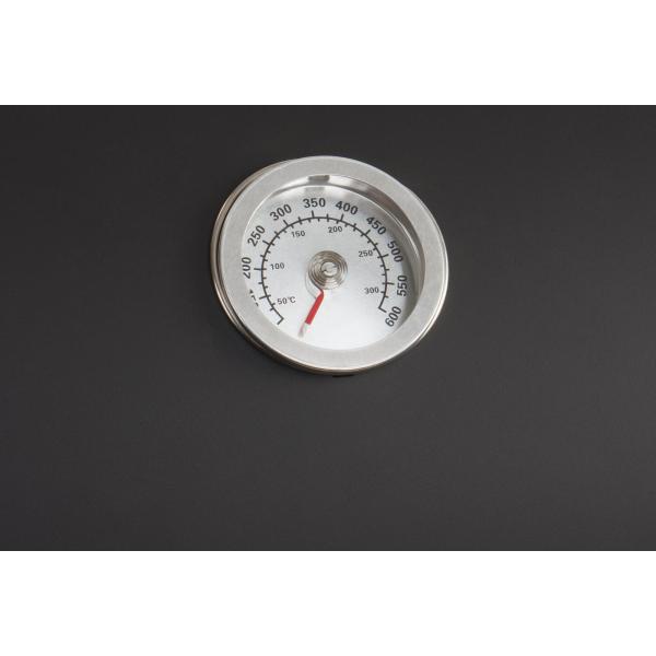 Fumeur de charbon de bois pour barbecue extérieure personnalisé à double couche