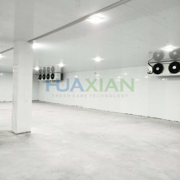 -40 Meat/Fish/Poultry Cold Room for Blast Freezer, Germany Compressor Walk in Freezer