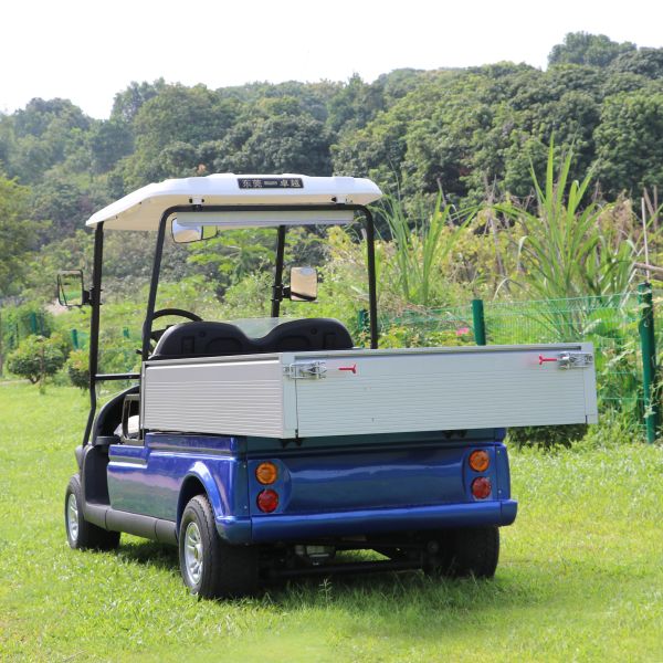 CE Approved Green 48V Trojan Hotel Buggy Car , 2 Seats Electric Utility Golf Carts