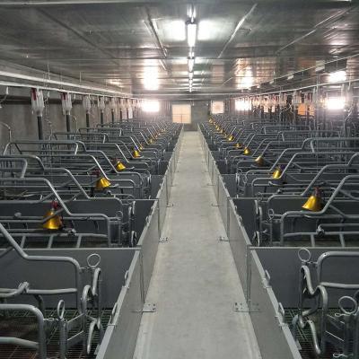 100 equipamento agrícola da pocilga da pena da porca 2.4*0.6m