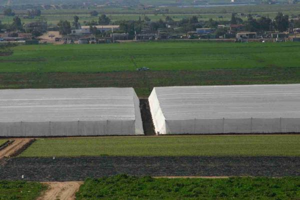 hot sale 70g 16mesh 2.5x30yards Pest Exclusion Greenhouse Plastic Net