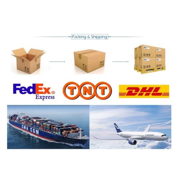 Hospital Polypropylene Pouches Disposable Cesarean Section Fluid Collection