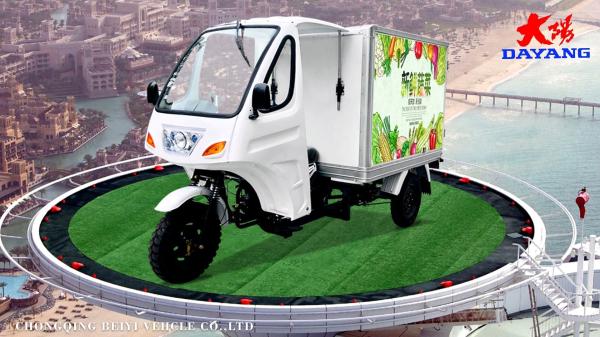 Three Wheel Refrigerator Cargo Tricycle with Iron Cabin and Hydraulic Rear Brake