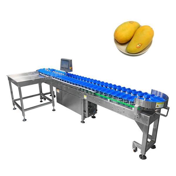 Avocado Fruit Grader Sorting Machine