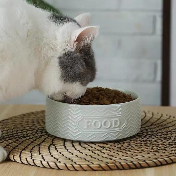 Cat Ceramic Pet Bowl Anti Vomiting Tilted With 4.5 Inch 6 Inch Size