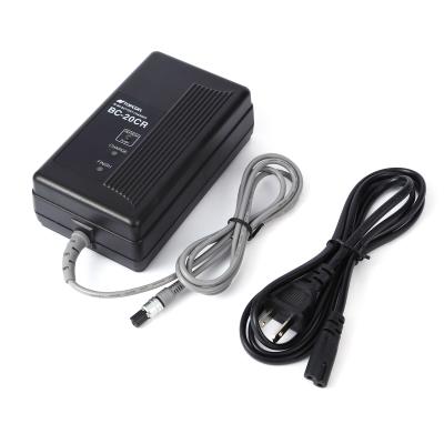 Carregador de bateria preto Because-20CR de Nimh do amplificador de 9.0V GTS-300