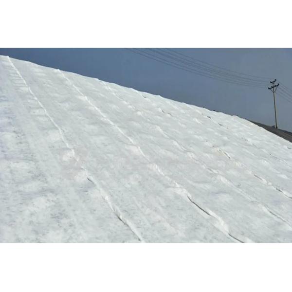 High Compressive Strength Polyethylene Geotextile and Geonet 3D Composite Drainage Net