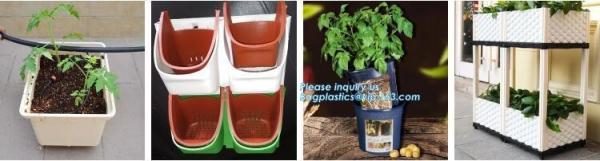Plantas carnudas de cultivo verticais hidropônicas do berçário dos potenciômetros do plantador da morango verde dos sacos do jardim