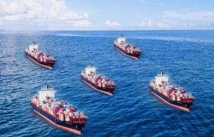 Professional China Sea Freight Services DDP Lcl Ocean Freight China to Dubai