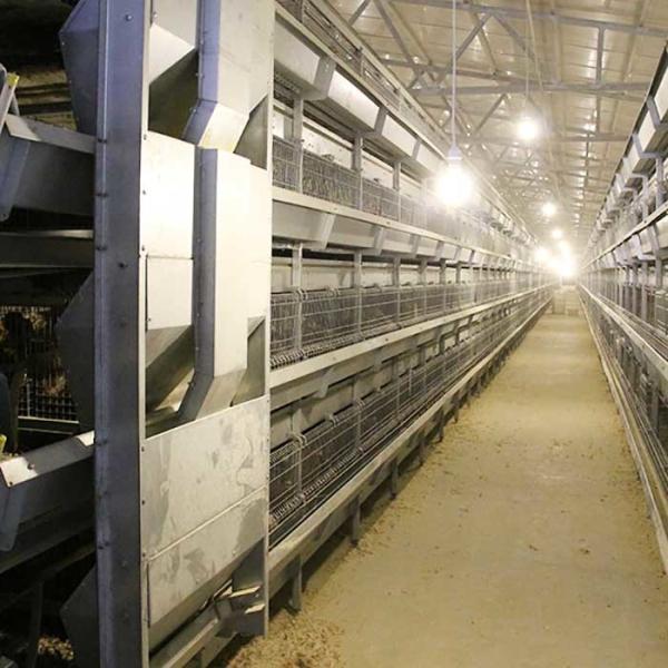 Manual Feeding System 45 Days Chicken Cage , 3 Tiers Chick Rearing Cage