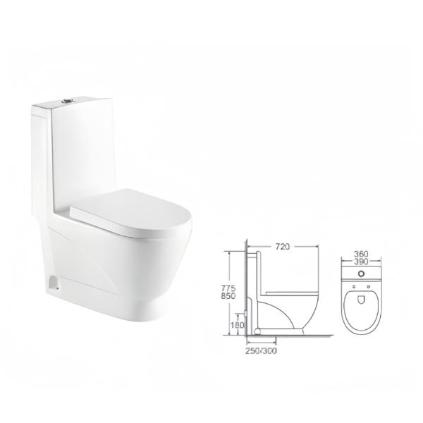Slowly Toilet Seat Cover and Dual-Flush Water Closet for Modern White Color Bathroom