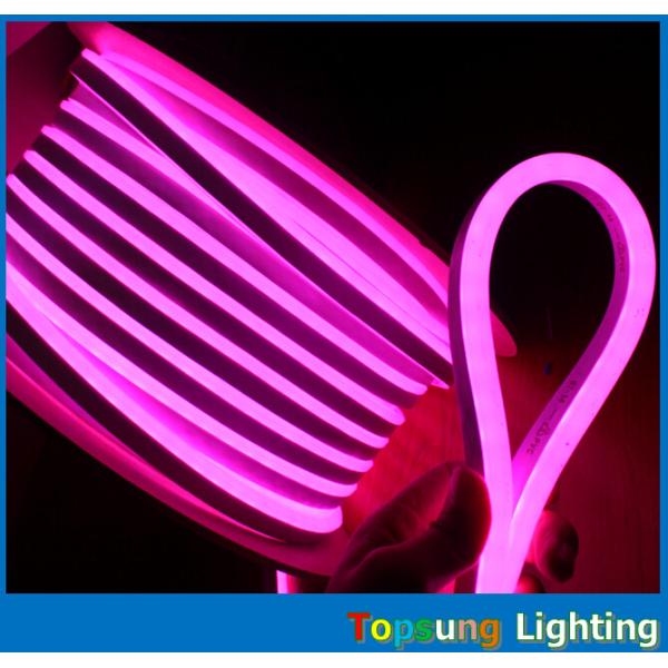 24V/12V RGB LEDライト 8.5*17mmサイズ CE Rohs 認証のネオンフレックスライト