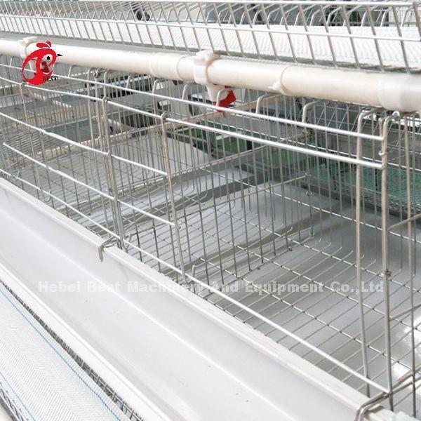 sistema da gaiola do cultivo de aves domésticas de 2.2m, gaiola de bateria de 9 séries para camadas Rosa