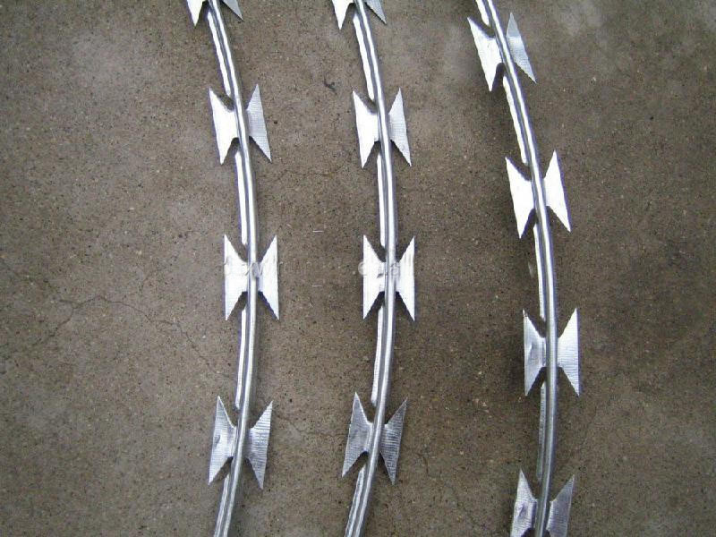 Гальванизированная бритвенная колючая проволока Прямой подача прямой подачи для высокой безопасности забора