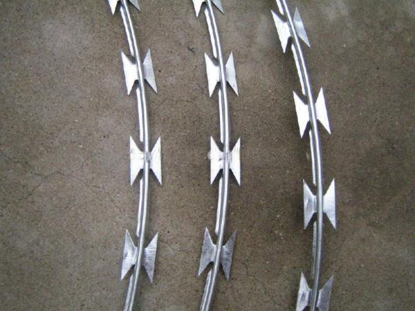 Galvanized Razor Barbed Wire Roll Direct Supply for High Fence Security Applications