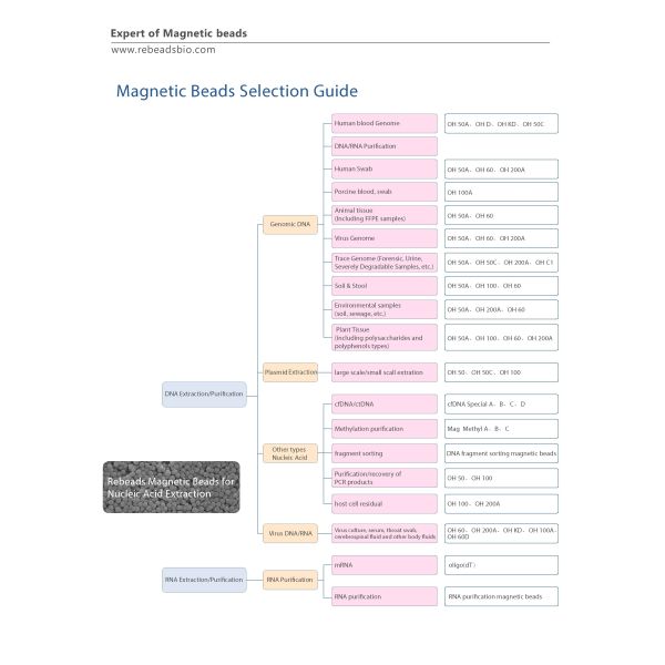 Rebeads Mag OH KE DNA Isolation Magnetic Beads Viral DNA Extraction 100mg/mL