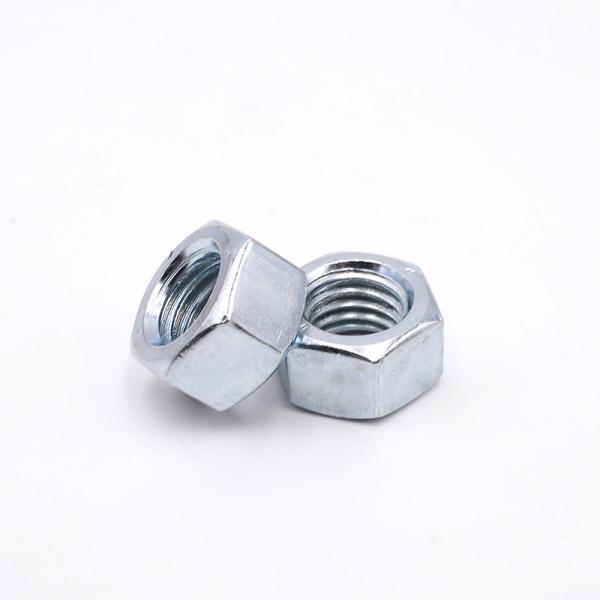 DIN Standard Cold Heading Precision Customized Nut Stainless Steel Materials