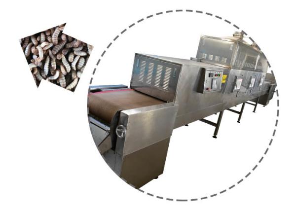 Black Soldier Fly Larvae Microwave Drying Machine With Transmission System