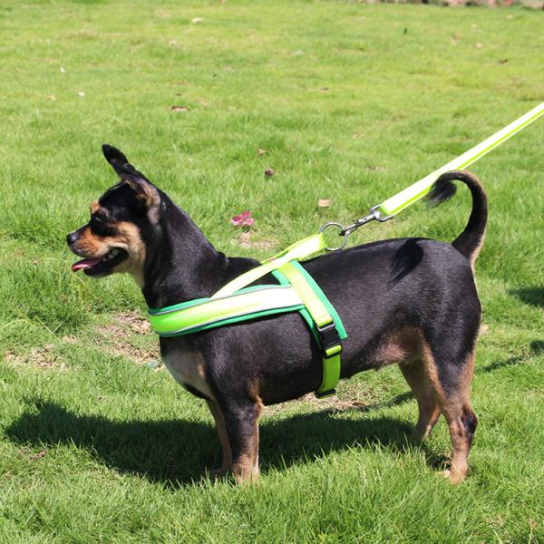 Nylon Adjustable Light Up Led Dog Harness Rechargeable Soft Outdoor Flashing