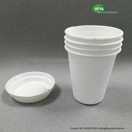 12 Oz Sugarcane Cup With Lid Eco-Friendly Sturdy Disposable Hot And Cold Beverages Cups, Coffee Cups