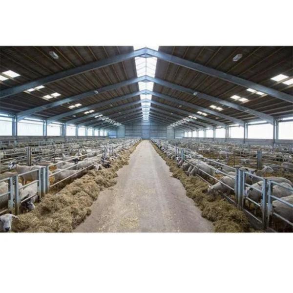 Versatile Prefabricated Steel Structure Workshop Halls for Poultry Farm for Sheep Chicken House Designed in Farmhouse Style