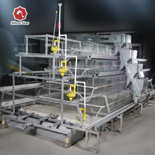 Poultry Farm Equipment Battery Cage 120 Birds 160 Birds Egg Layer Chicken Cage