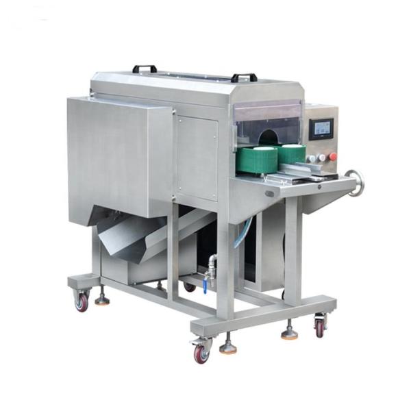 Automatic Remove Center Fish Meat Bone Sea Bream Bass Fish Fillet Making Processing Machine