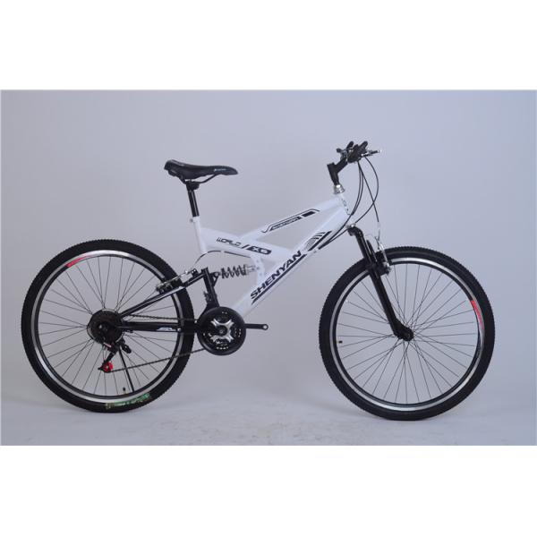 Cheap price OEM customized logo 21 speed hi ten steel mountain bike for travel with dual suspension