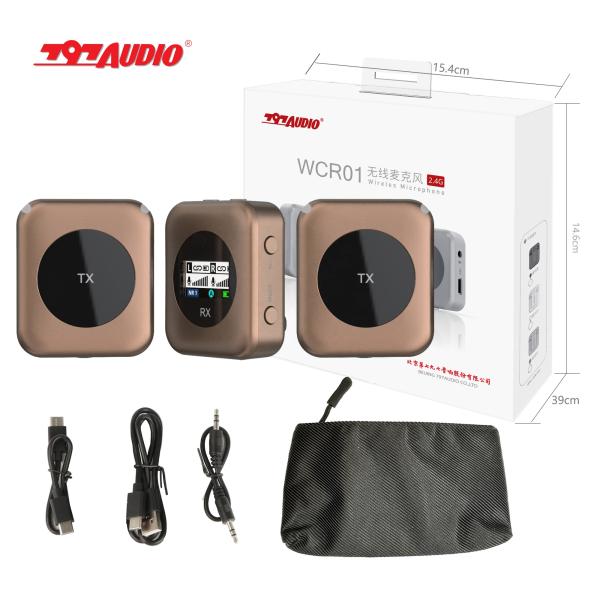 797Audio AWCR01 2.4G Hz Professional Wireless Microphone with Speaker Handheld