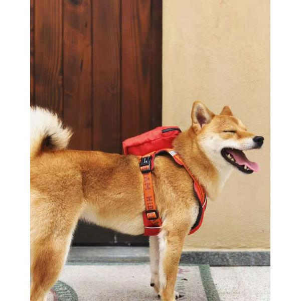 15CM Personalised Pet Accessories Small Medium Large Dog Puppy Backpack Harness