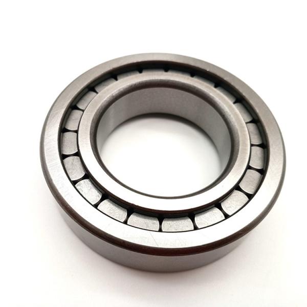 NJ428E NJ428EM Cylindrical Roller Bearing NJ428 NJ428EM/C4 For Vibrating Screeng