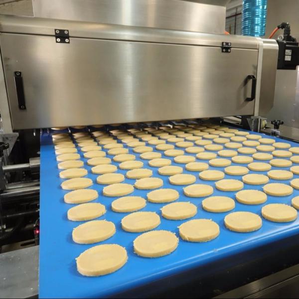 Width 400mm SS304 Cookies Wire Cutting And Dropping Machine