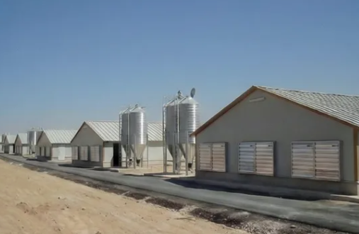 Galvanized Steel Poultry House with Modular/Panelized Design and 30 Years Warranty for Layer Cage Chicken Farming