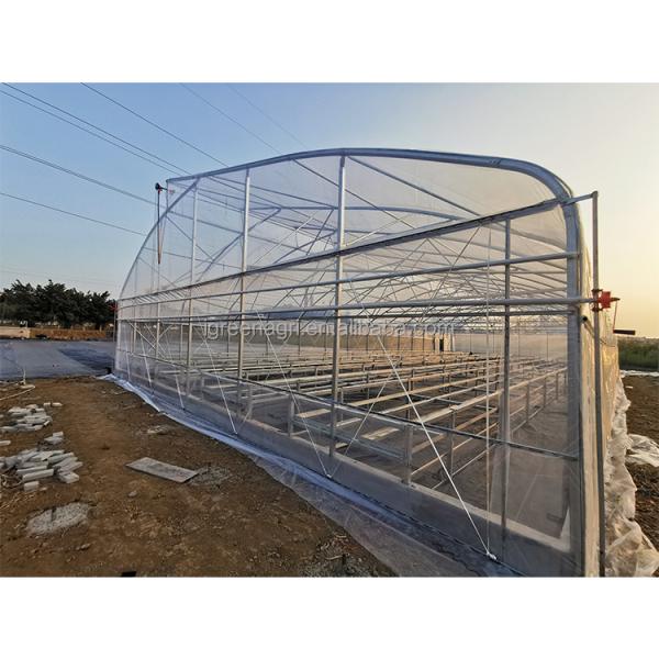 IGreen Plastic Tropical Green House Tropical Complete Green House