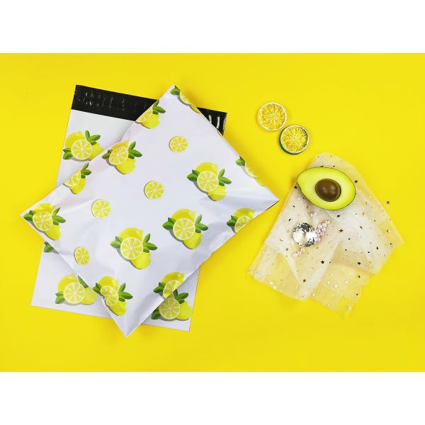 Biodegradable поли отправители 10x13