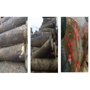 JIALONG WOODWORKS CO.LTD