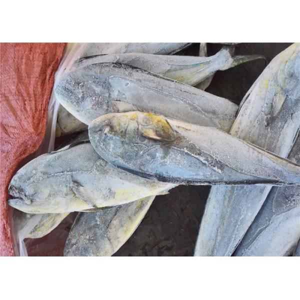 Морепродукты замороженное Mahi Mahi