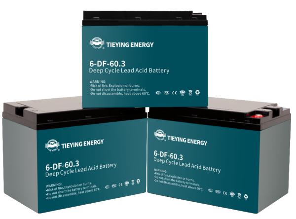 CE SDS Piles à acide 6-DF-60 rechargeables au plomb À vendre 60Ah Tricycle électrique 15.18+-0.2kg