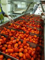 800g/Tin Concentrated Tomato Processing Line pode empacotar