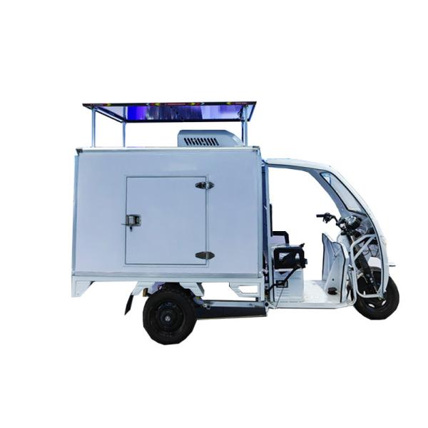 AC 220V-240V Electric Cold Chain Cargo E Trike For Delivery Eco Friendly