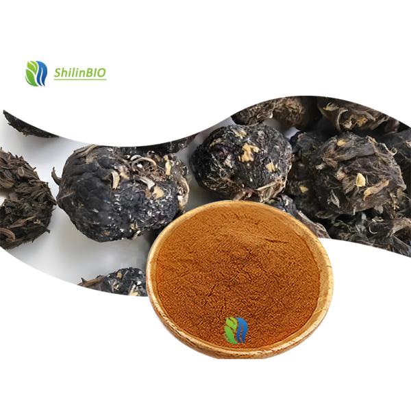 Macamide Powder