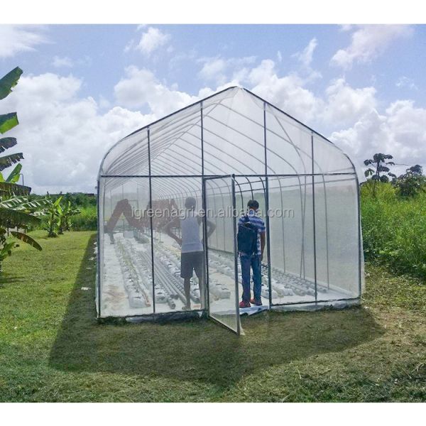 Galvanized Steel Frame Agricultural PE Film Low Cost Garden Green Houses for Plant Growing