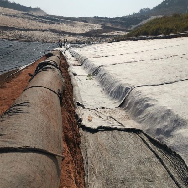 High Density Geo Synthetic Clay Liner Landfill Waterproofing Geomembrana Hdpe 30 Mils