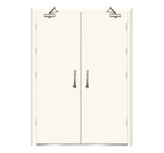 Factory Direct Sales Wood Grain Steel Main Gate Design Double Fire Door with Smart Lock