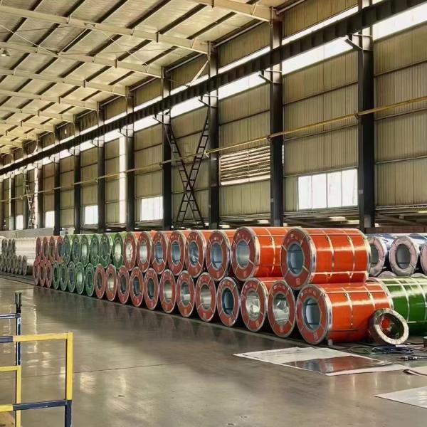 Shandong Dingcheng Liye Materials Co., Ltd