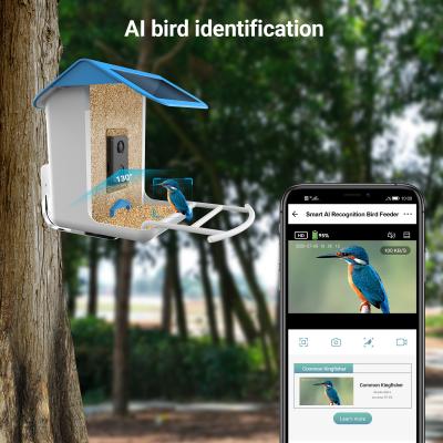 A câmera AI de Wifi dos animais selvagens reconhece o alimentador do pássaro de Smart da espécie do pássaro para o jardim exterior com painel solar